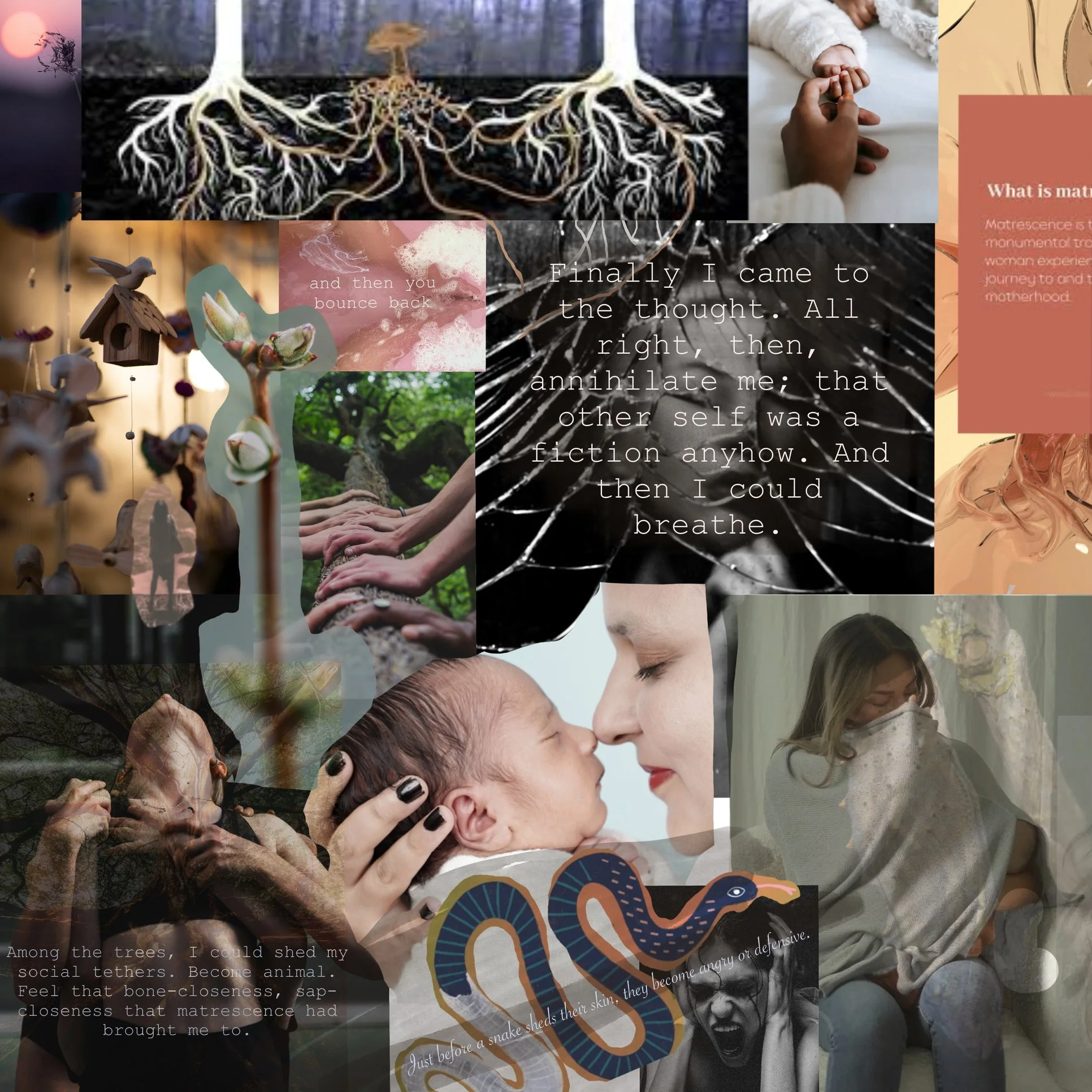 The Matrescence Project