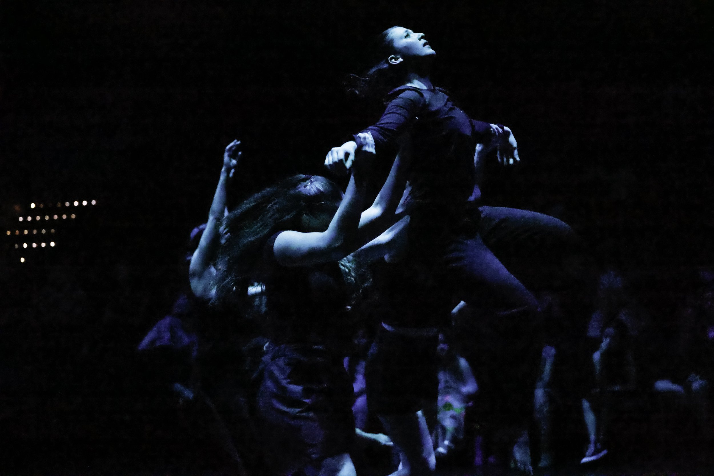 Photo by Sorcha Augustine