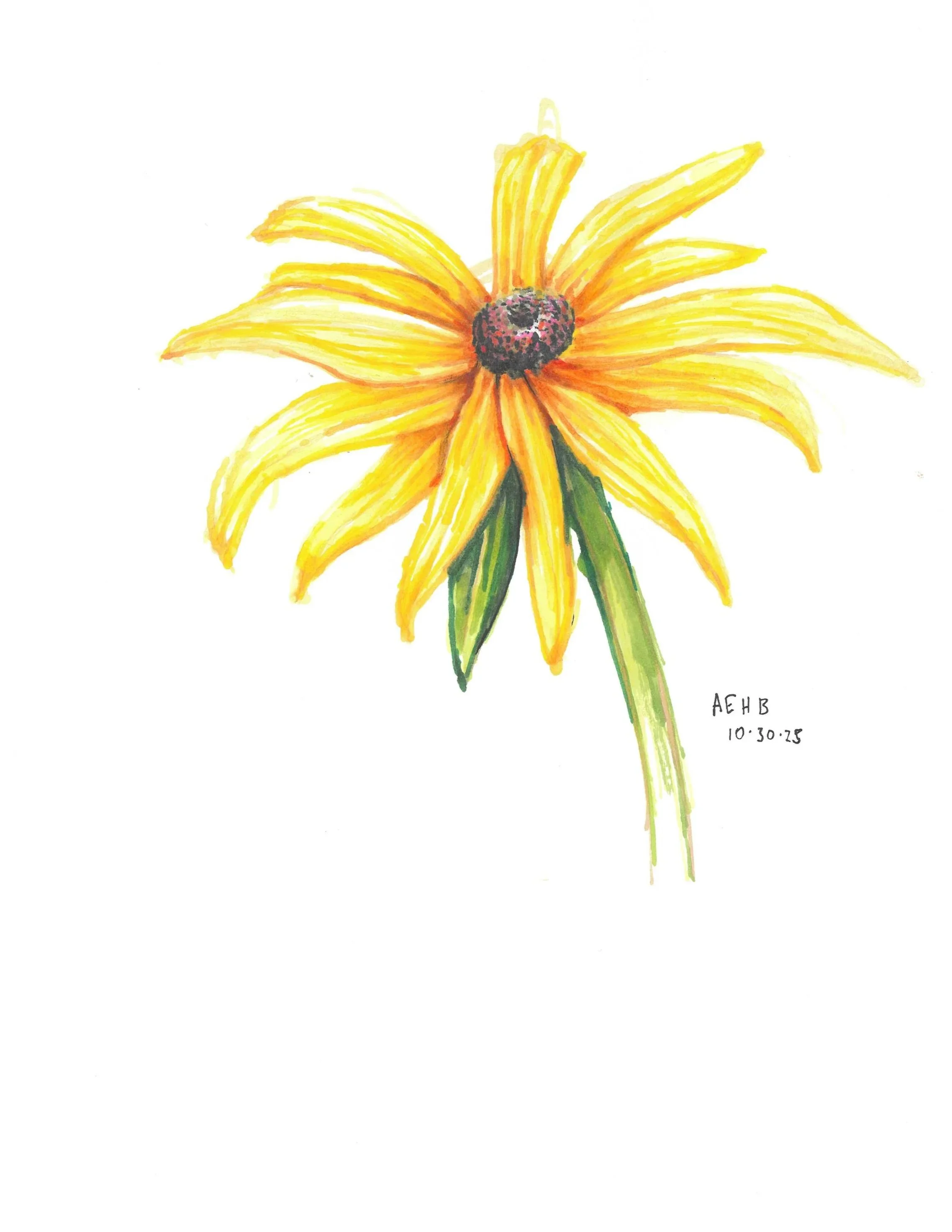 2026+04+03+black+eyed+susan+for+justice.jpg