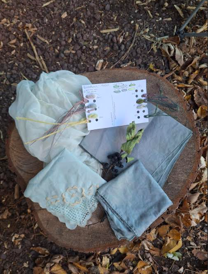 Natural Dye Workshop