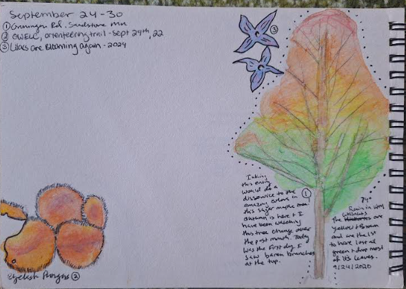 Introduction to Nature Journaling