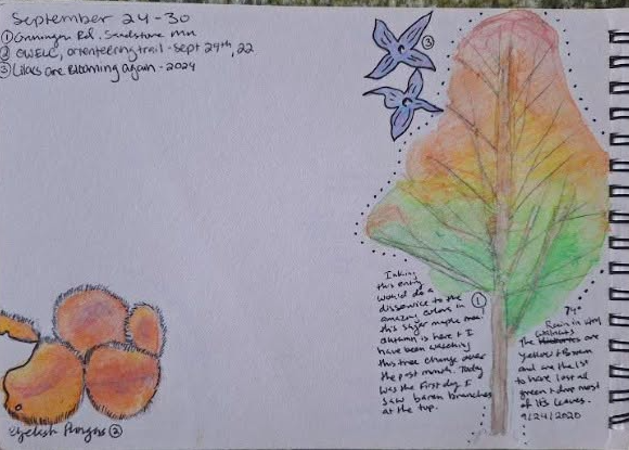Nature Journaling.png
