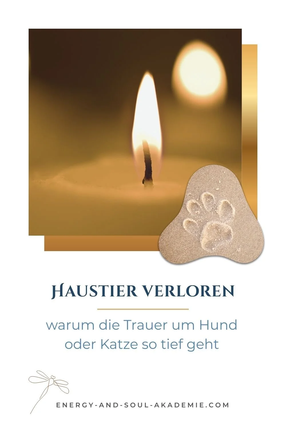 Haustier verloren – warum die Trauer um Hund oder Katze so tief geht