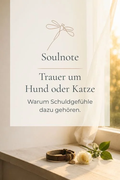 Am Fenster ein Hundehalsband und eine Rose daneben. Symbol für Trauer um den Hund.