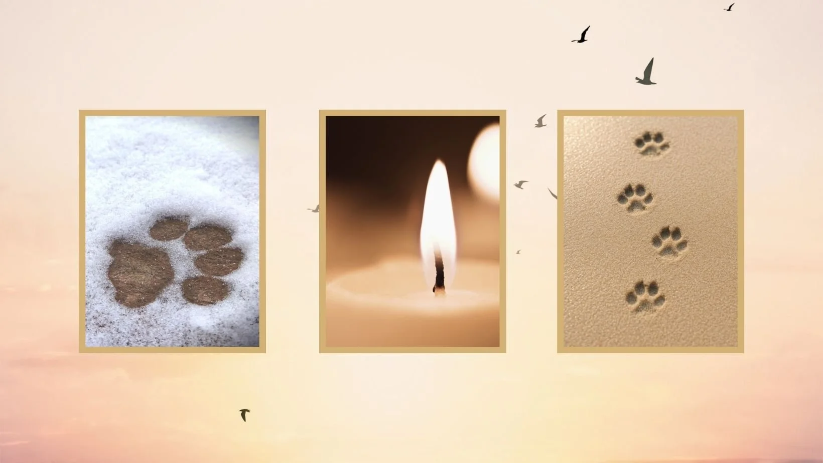 Spuren im Schnee und im Sand - alles was bleibt, nach dem Verlust eines Hundes oder Katze.