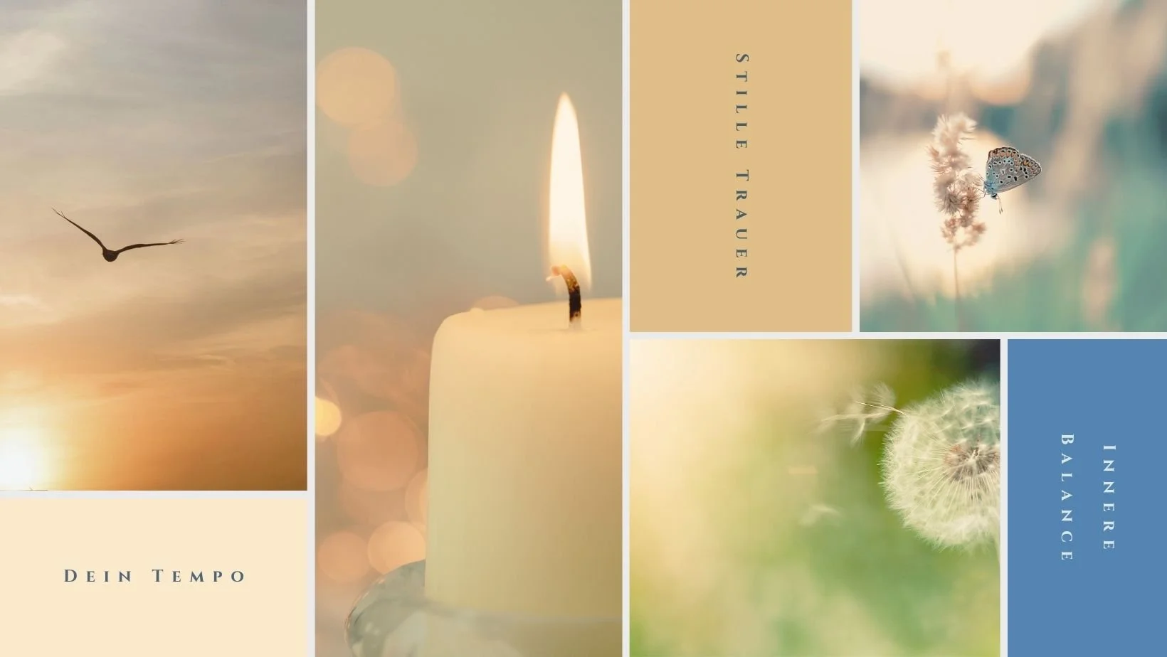 Wenn dein Umfeld erwartet, dass du deine Trauer schneller bewältigst. Achte auf dein inneres Tempo, deine innere Stimme, komme in deine innere Balance.