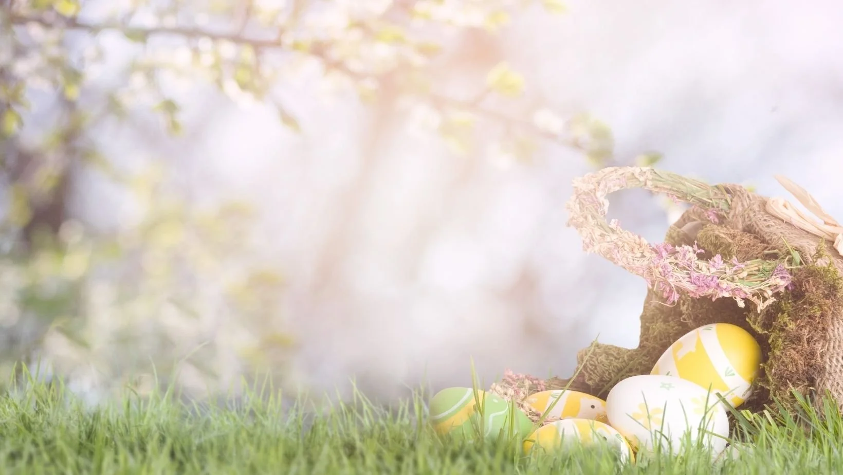 Meditations-Paket zu Ostern. Schenke dir selbst Zeit für dich. Im Hintergrund Ostereier im Gras.