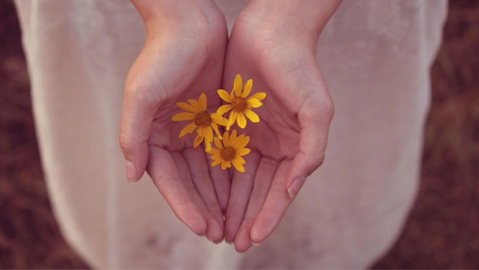 Gelbe Blumen in den Händen - als Symbol für das eigene Trauer-Gefühl