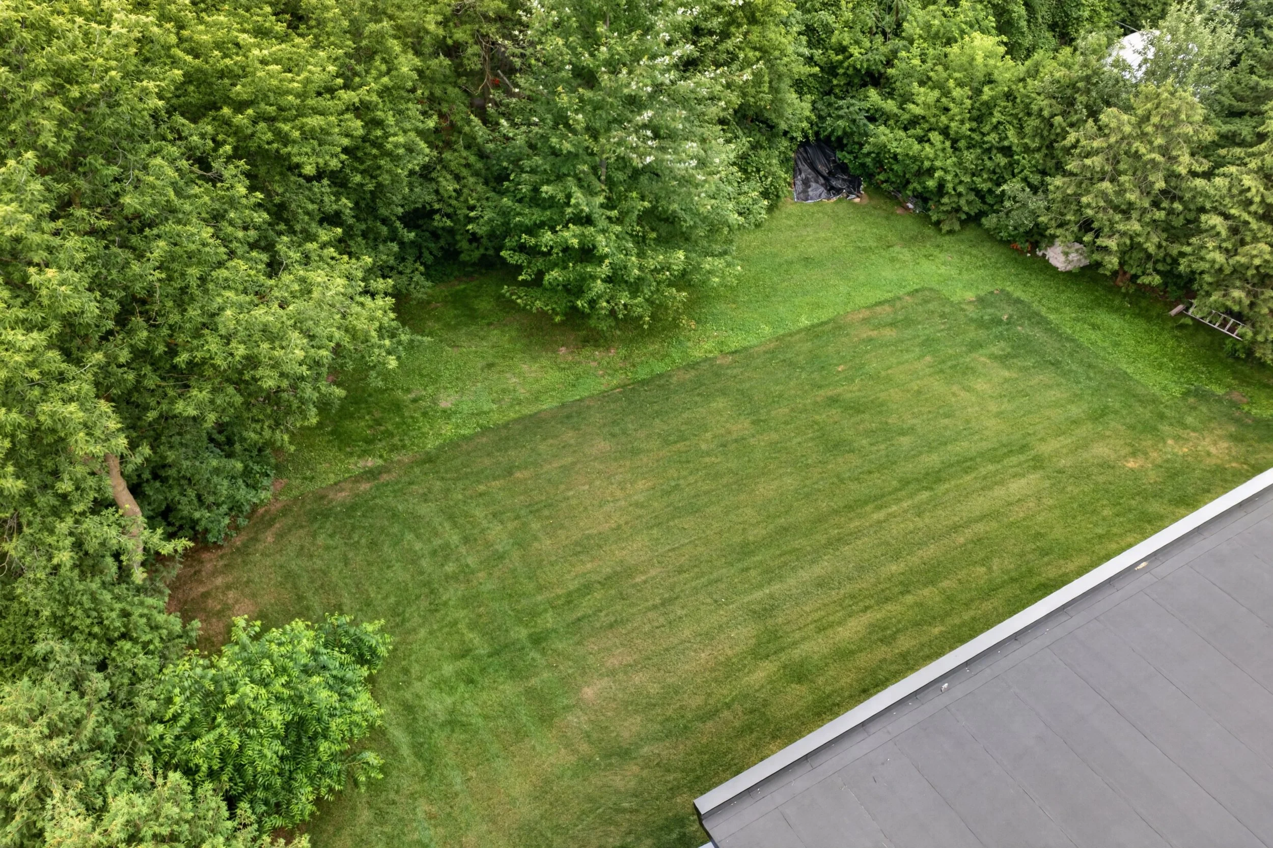 117 152 St Andrews St N.jpg