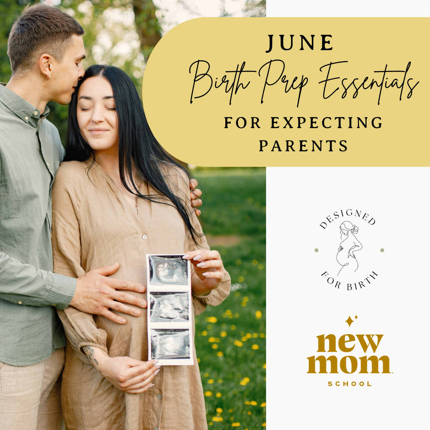 Front (2 variant) (8).png