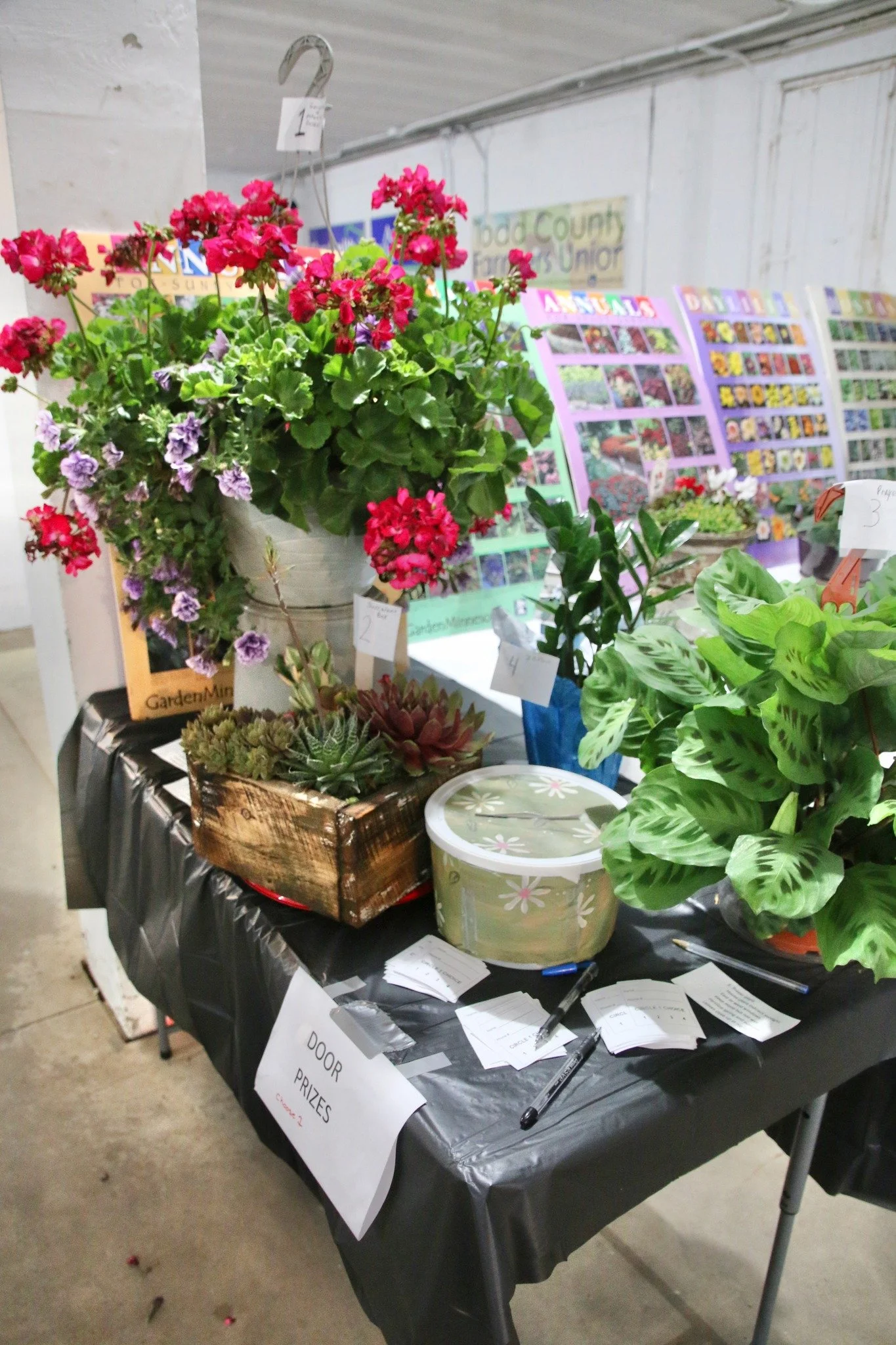 Photo taken by LP Chamber