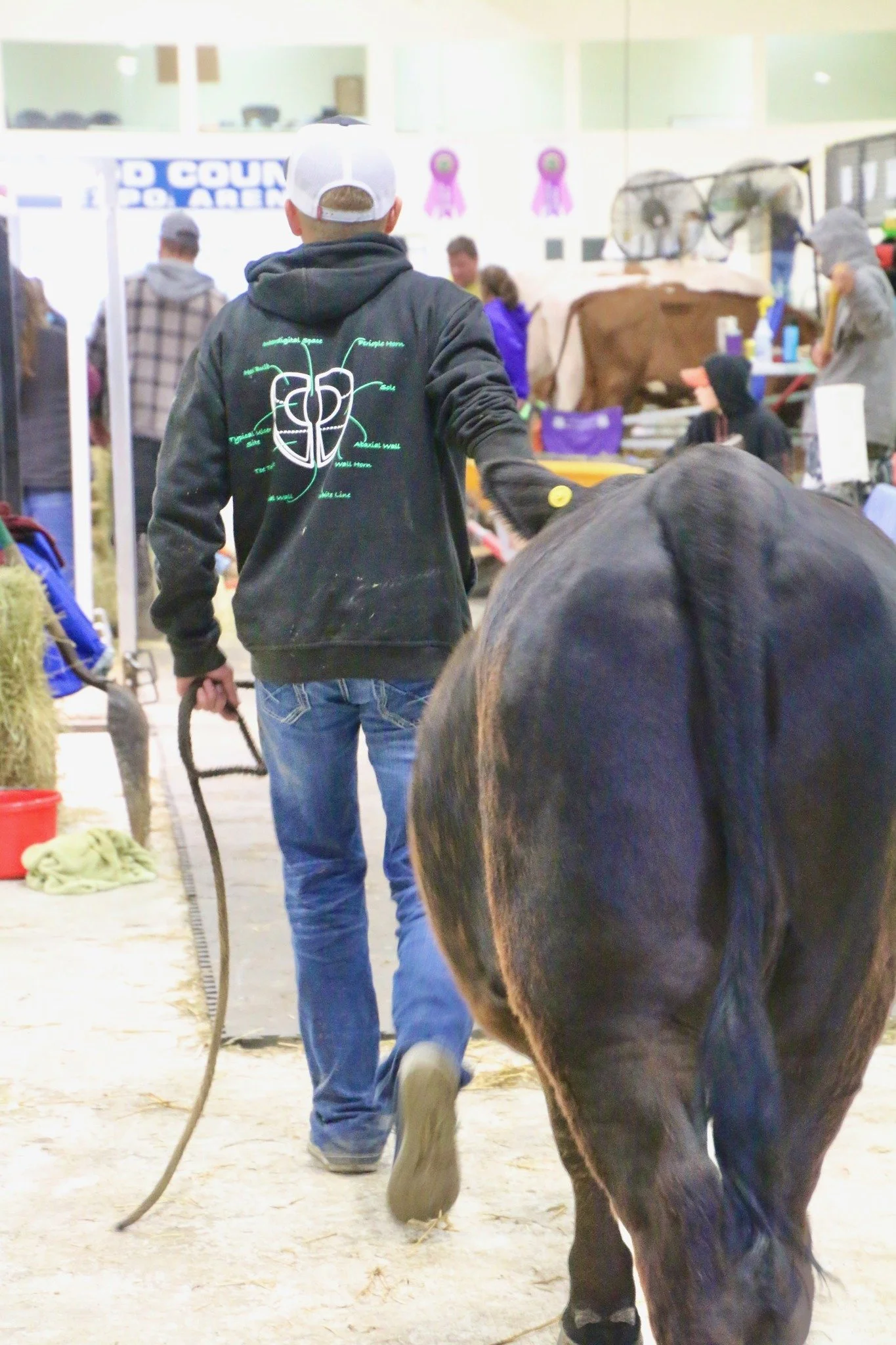 Photo taken by LP Chamber