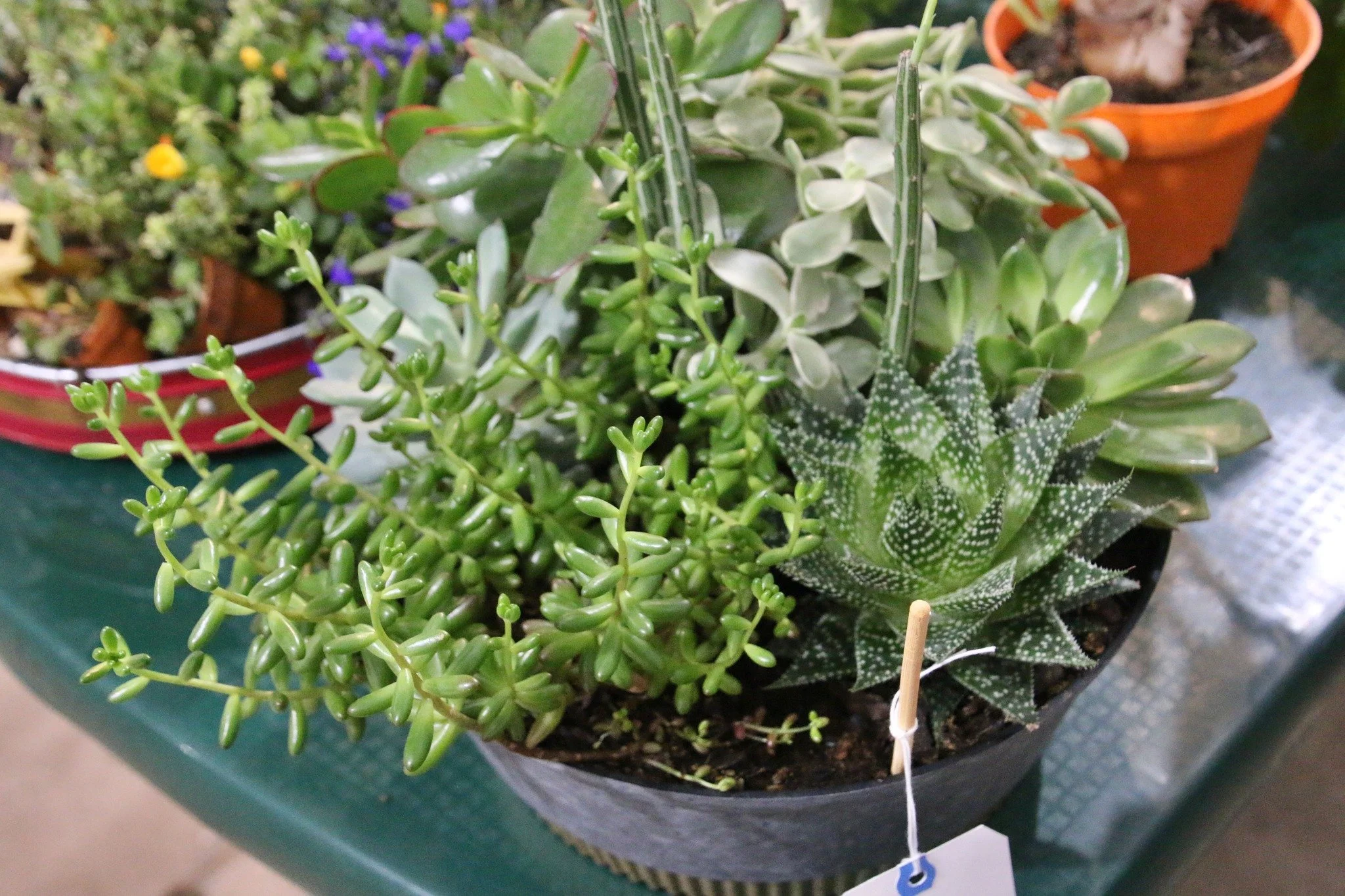 Photo taken by LP Chamber