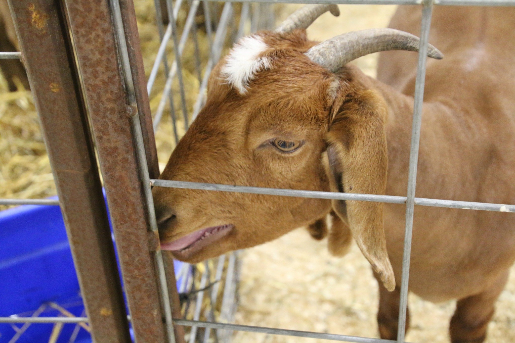 Photo taken by LP Chamber