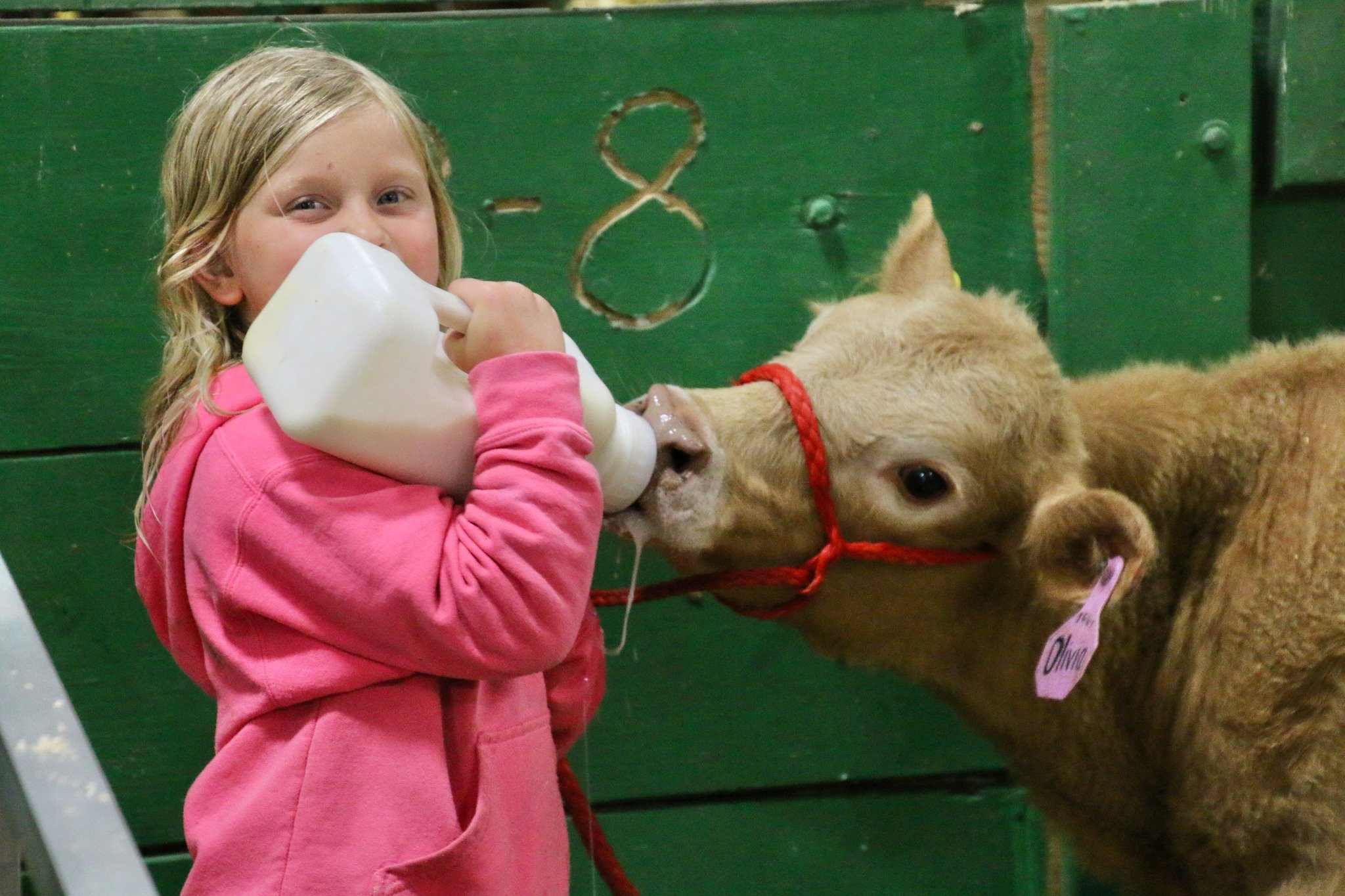 Photo taken by LP Chamber