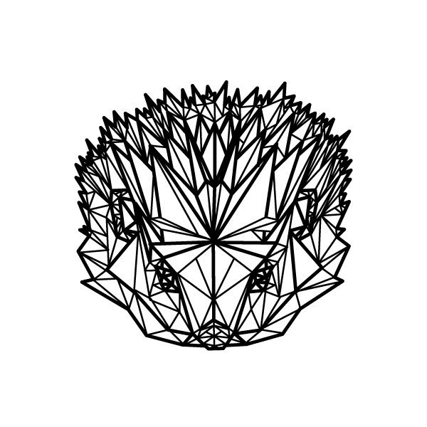 Geom_Porcupine.jpg