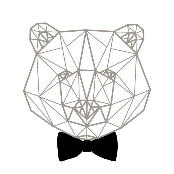 Geom_Bear.jpg