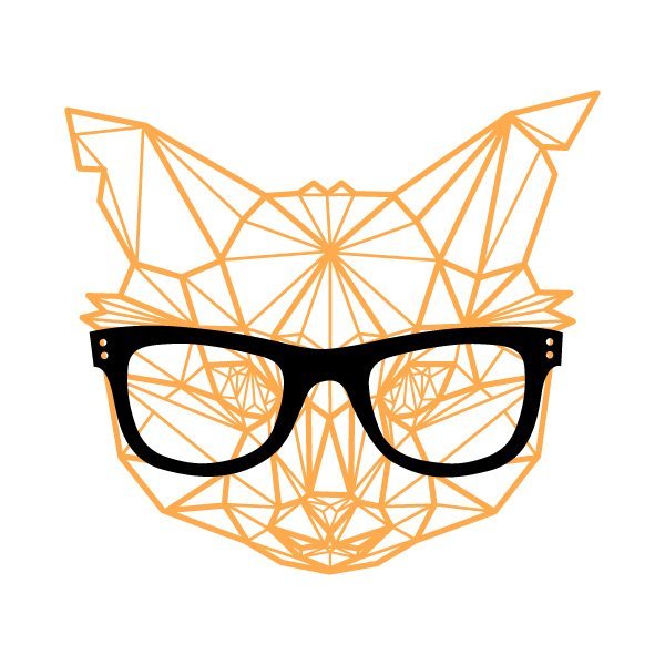 Geom_Cat.jpg