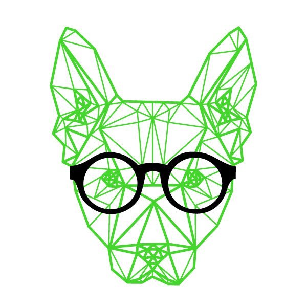 Geom_Dog.jpg