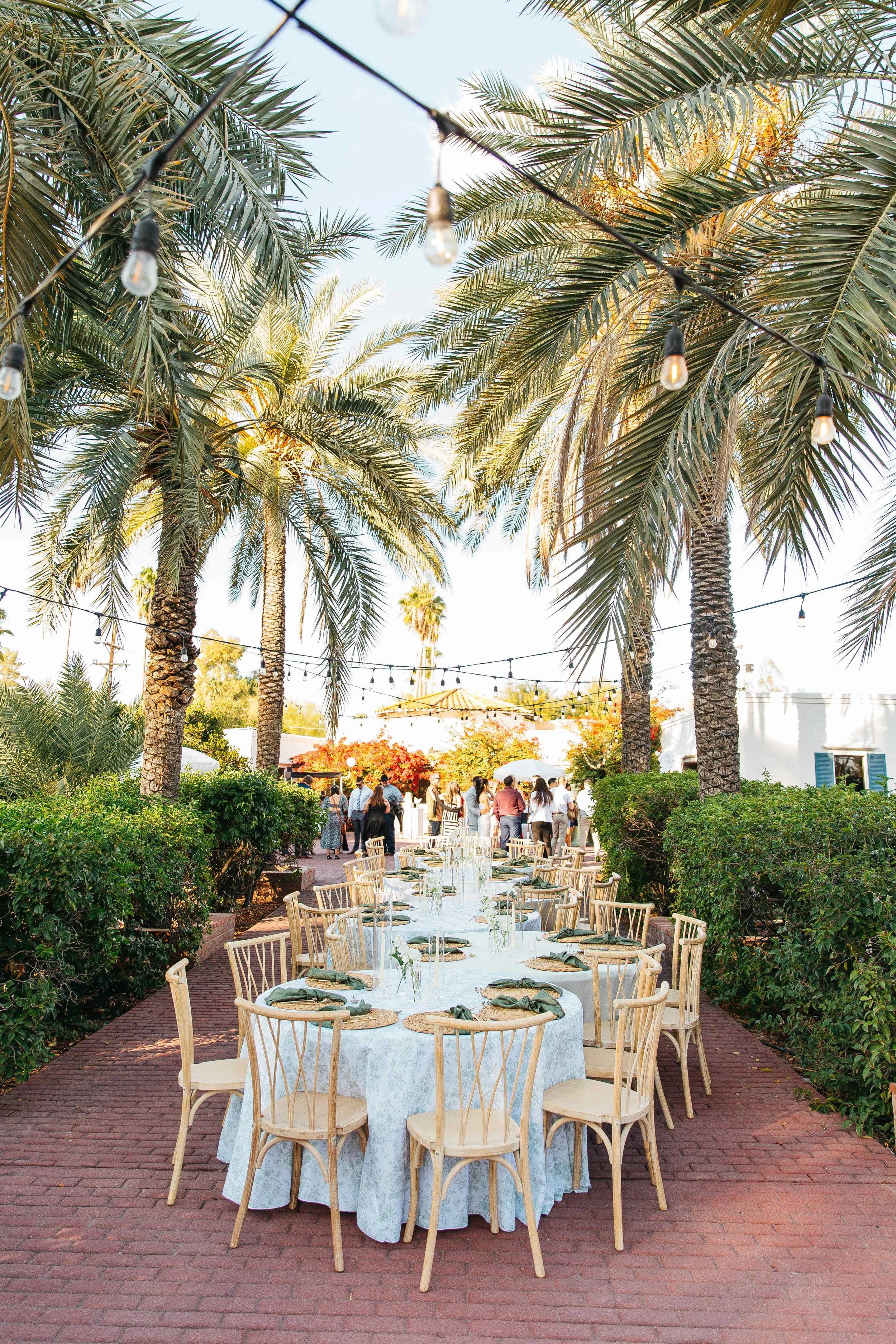 table set up under palm trees.jpg