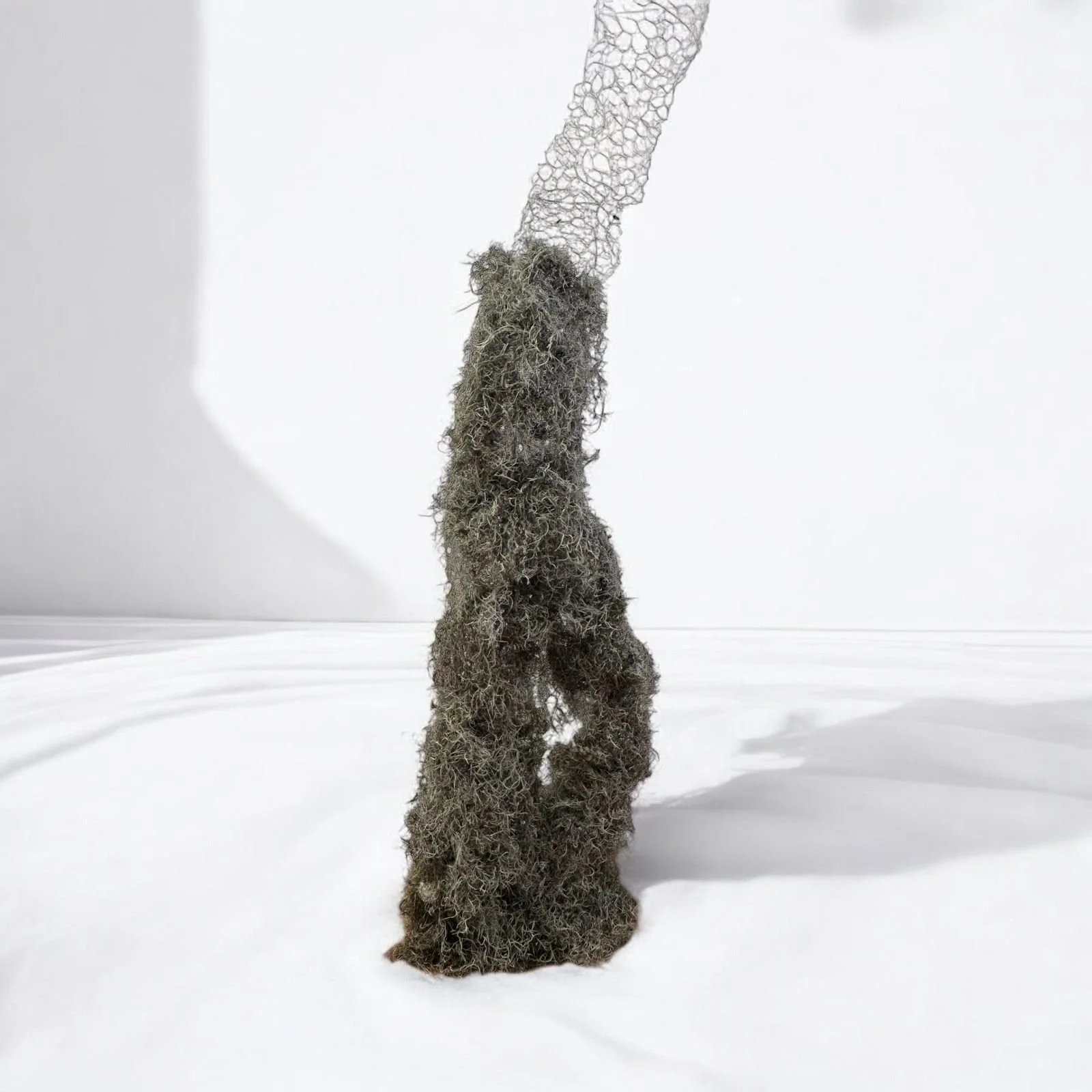 WhatsApp Image 2025-01-21 at 1.42.18 PM (5).jpeg