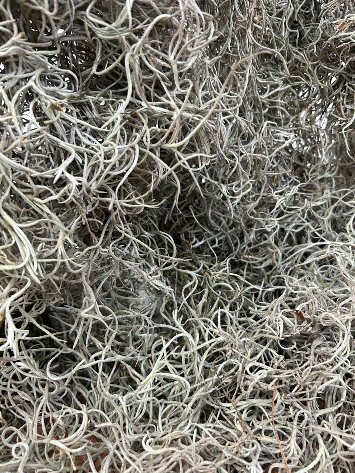 WhatsApp Image 2025-01-21 at 1.42.21 PM.jpeg