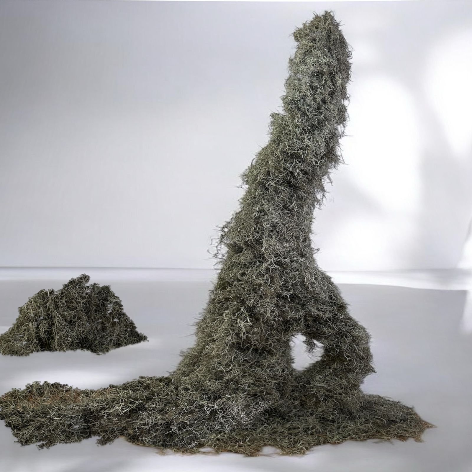 WhatsApp Image 2025-01-21 at 1.42.18 PM.jpeg