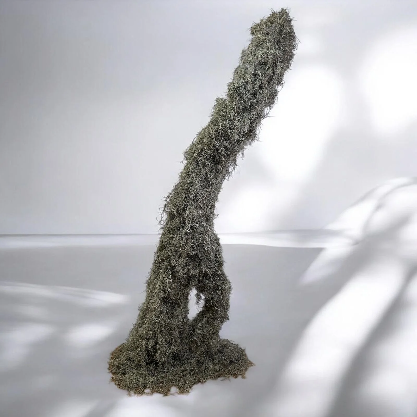 WhatsApp Image 2025-01-21 at 1.42.18 PM (1).jpeg