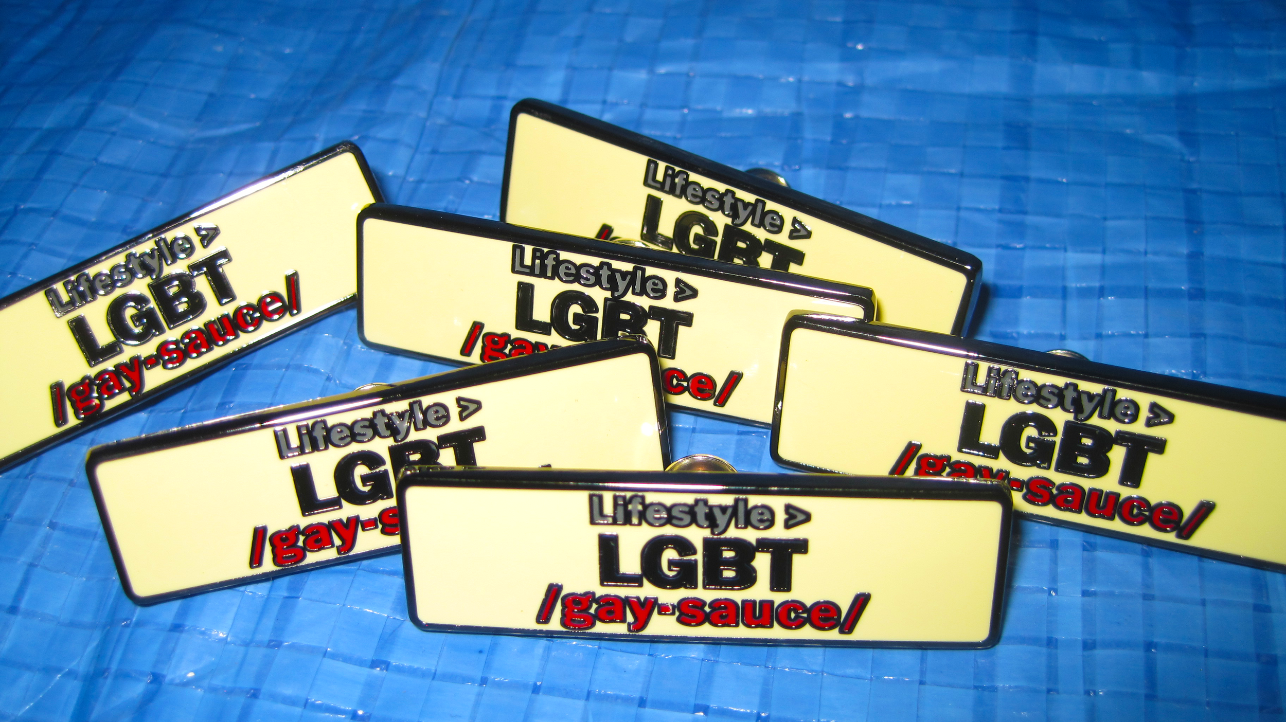 gaypin4.png