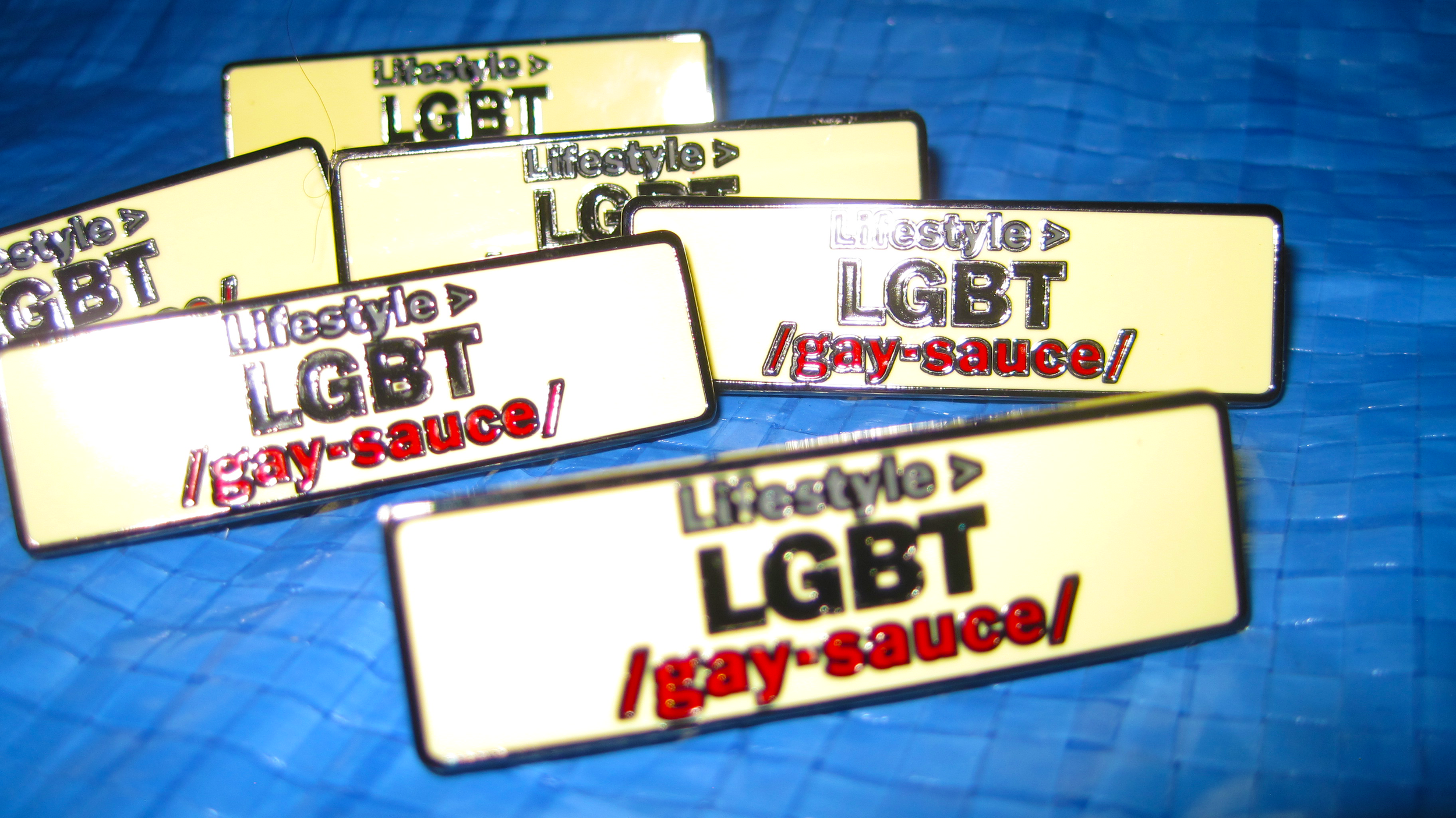 gaypin2.png