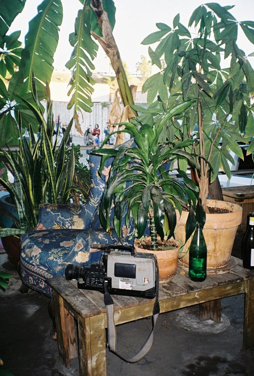 alli752-032 Large.jpeg