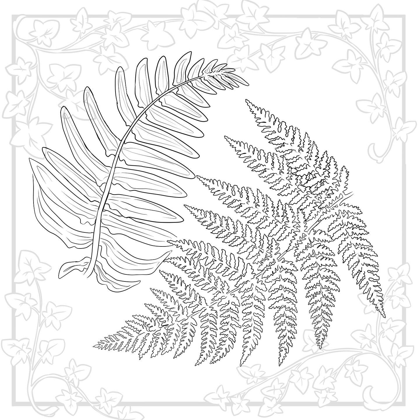 Reposting some of my flora flash! I&rsquo;d love to get some ferns on the books soon 🍃 They&rsquo;re super fun to tattoo and work really well as flow pieces or gap fillers!
These fern designs are examples! I&rsquo;m happy to draw up a fern that work