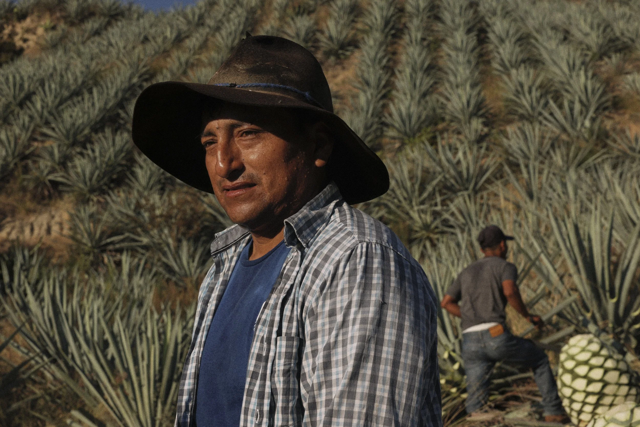 IMG_7517_Mezcal_Salinas.jpg