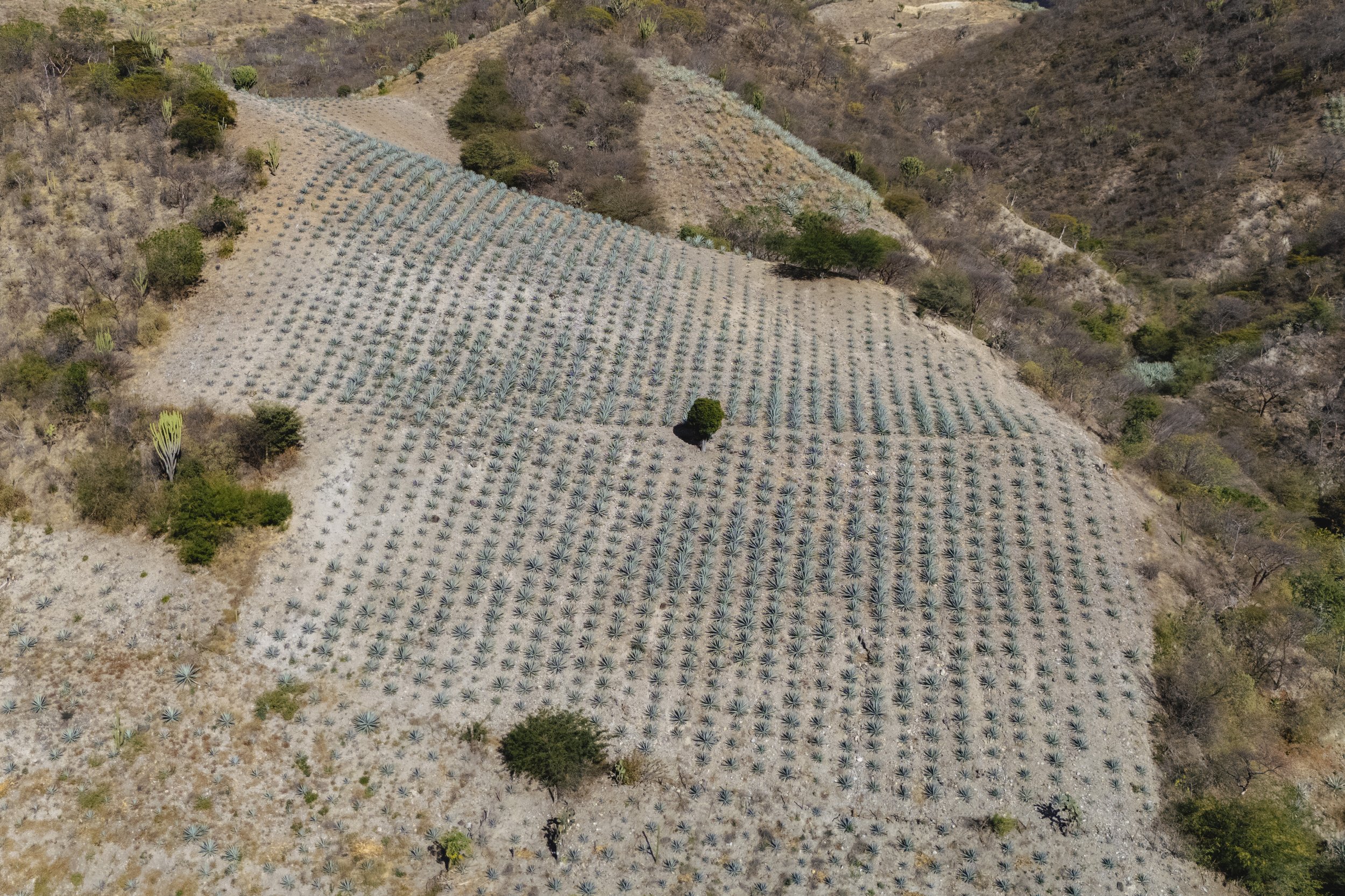 IMGDrone_San Luis del Rio 2.jpg