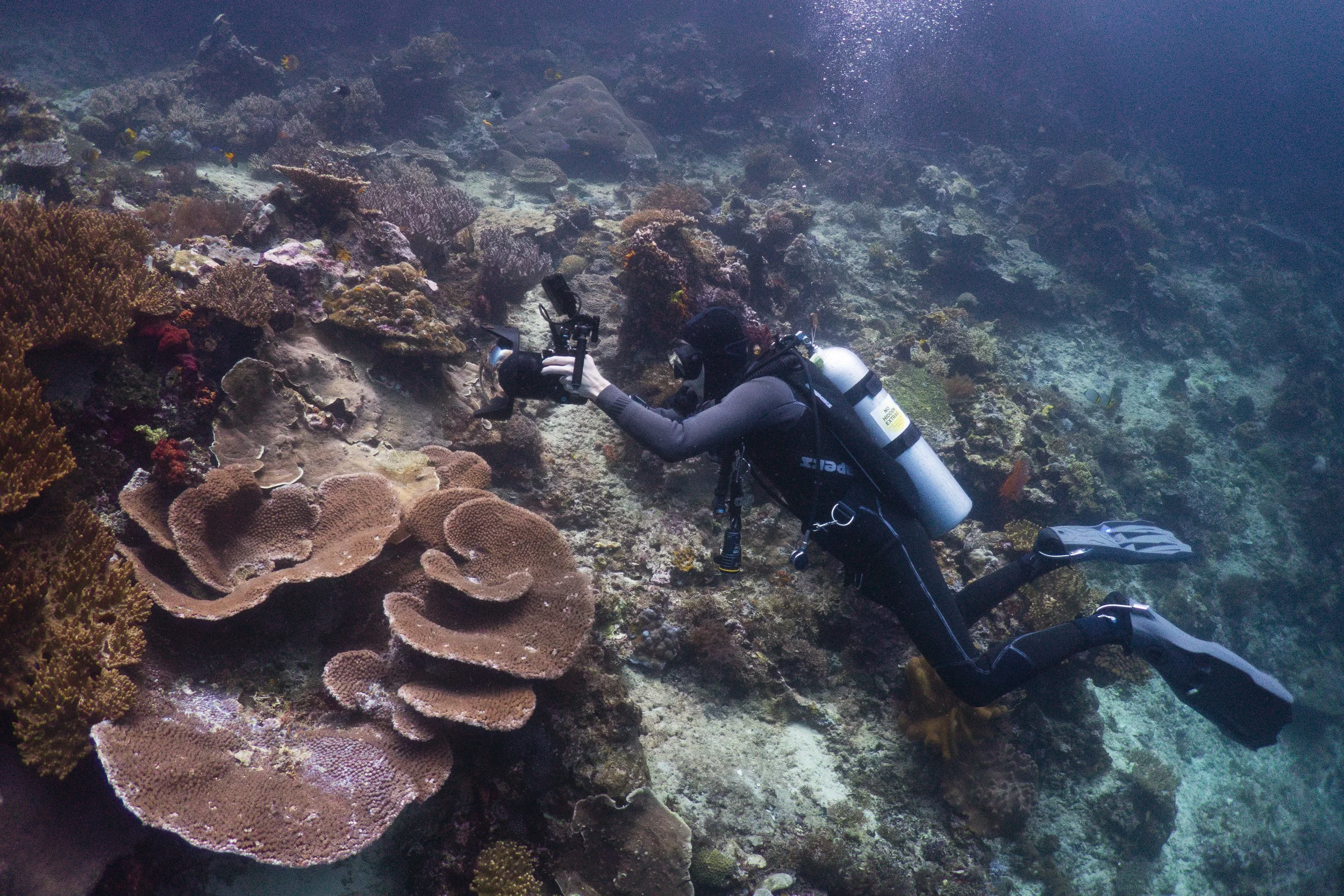 Raja Ampat_Kerno Channel 2.jpg