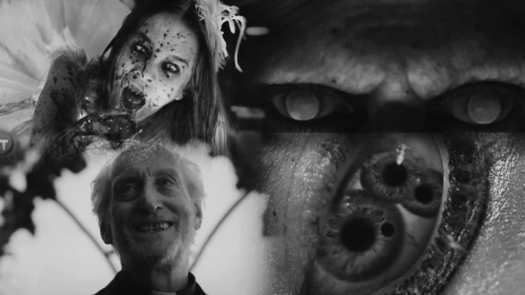 Favorite Horror Films of 2024