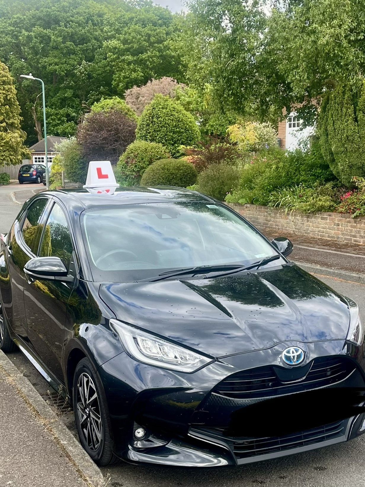 Pass To Go Go Car 1.jpg