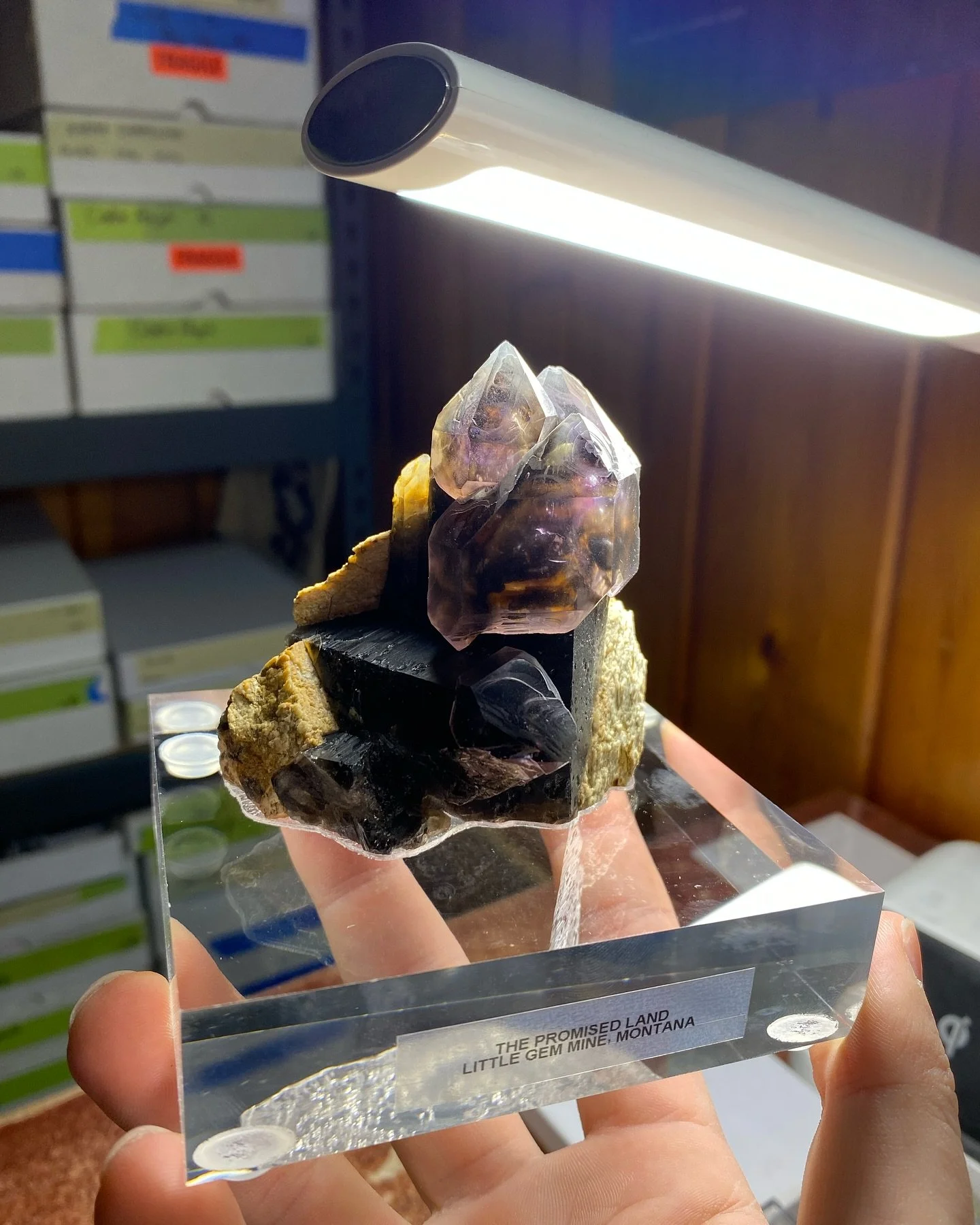One of the famous and published specimens from the Little Gem Mine, &ldquo;The Promised Land&rdquo;. Mine owner Russ Hage worked for hours fruitlessly, and in frustration exclaimed &ldquo;take me to the promised land!&rdquo;. It was shortly after, a 