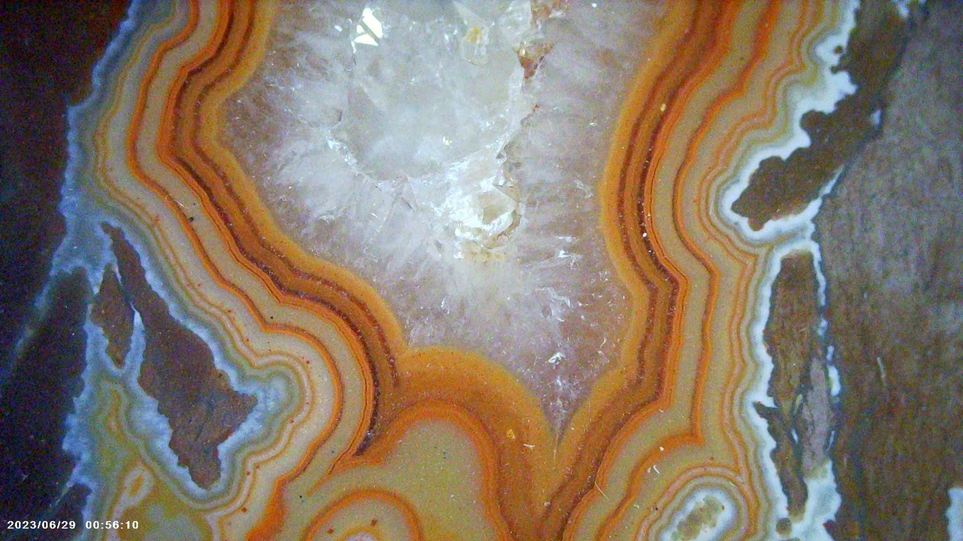 Close-up of a polished banded Montana agate with concentric orange, white, brown, and yellow bands surrounding a crystalline center.