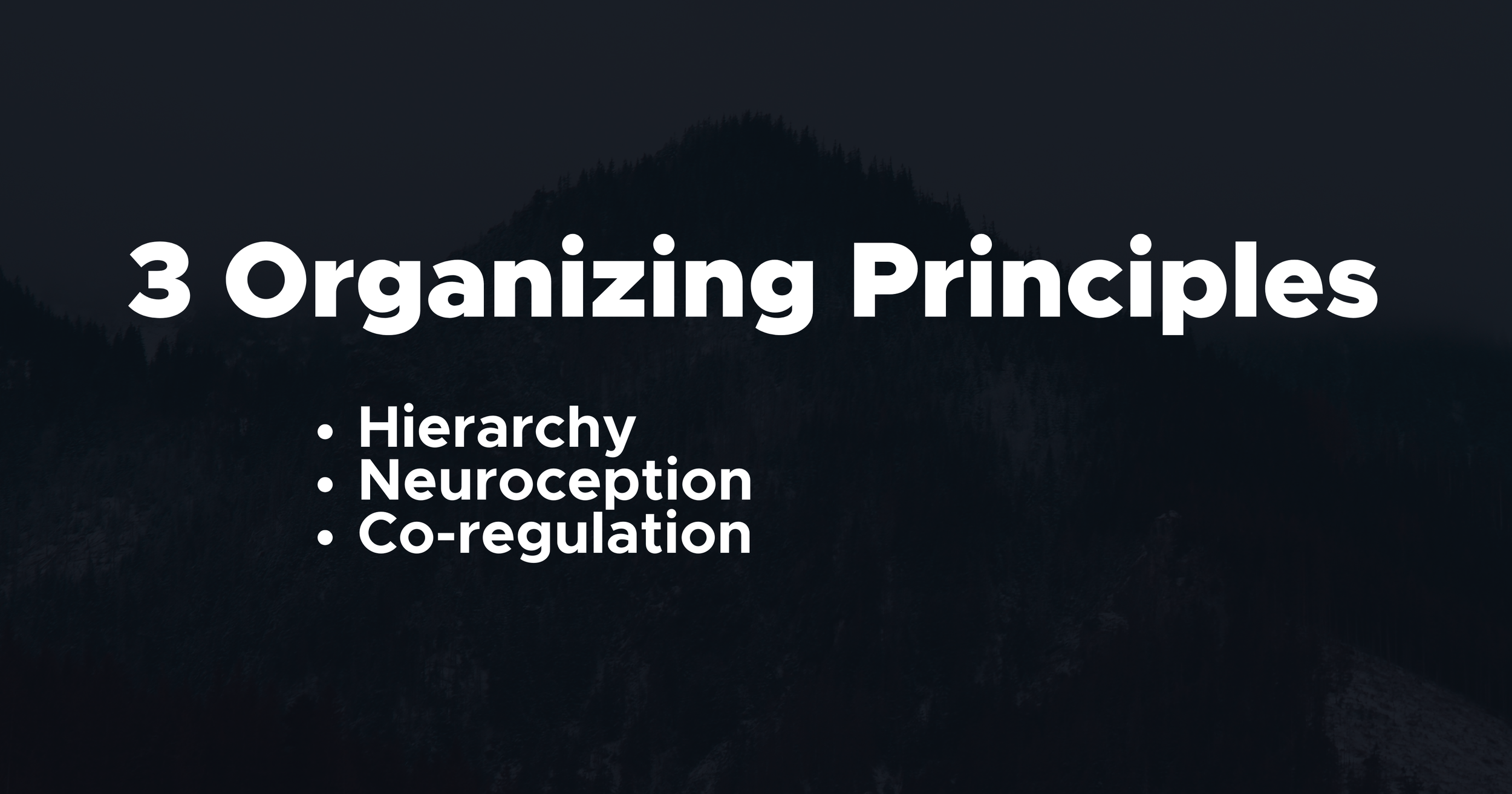 Polyvagal’s Three Organizing Principles