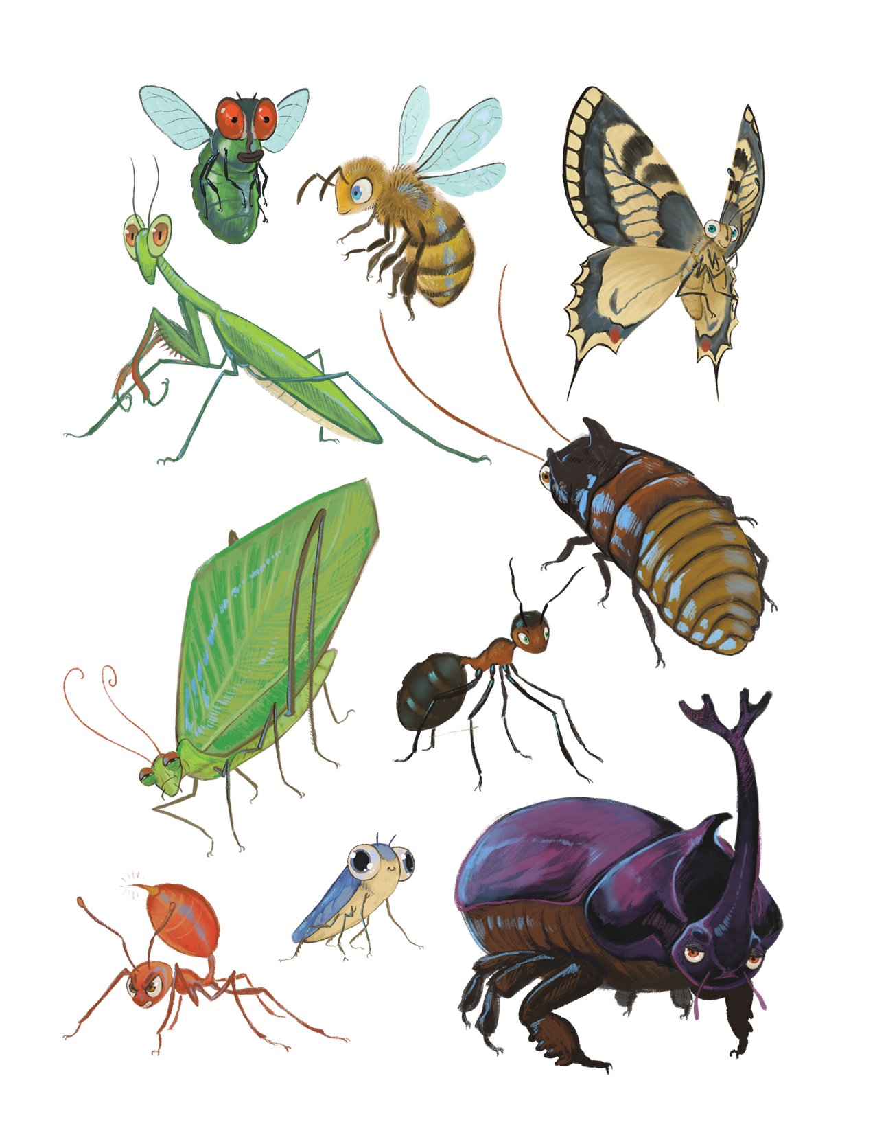 Title: 10 Insects Illustration
Medium: Digital Illustration, Photoshop
This piece features a quick, colorful sketch of ten different insects, created to showcase the diversity of insect species. The illustration uses vibrant colors and a loose, sket