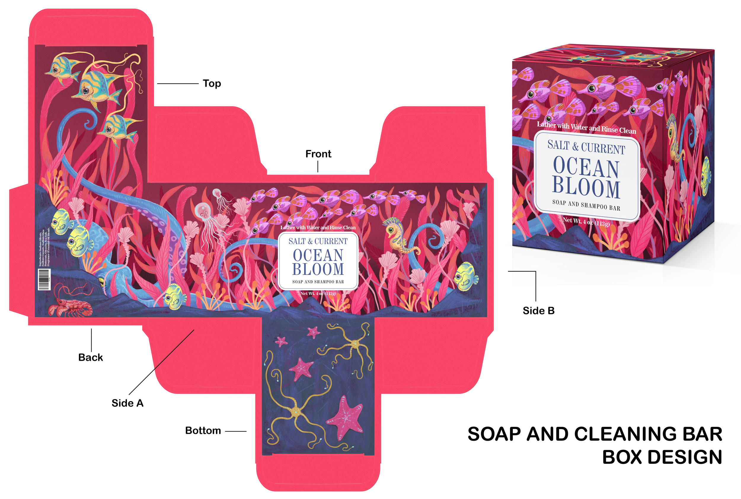 A soap & cleaning bar box design inspired by underwater critters.