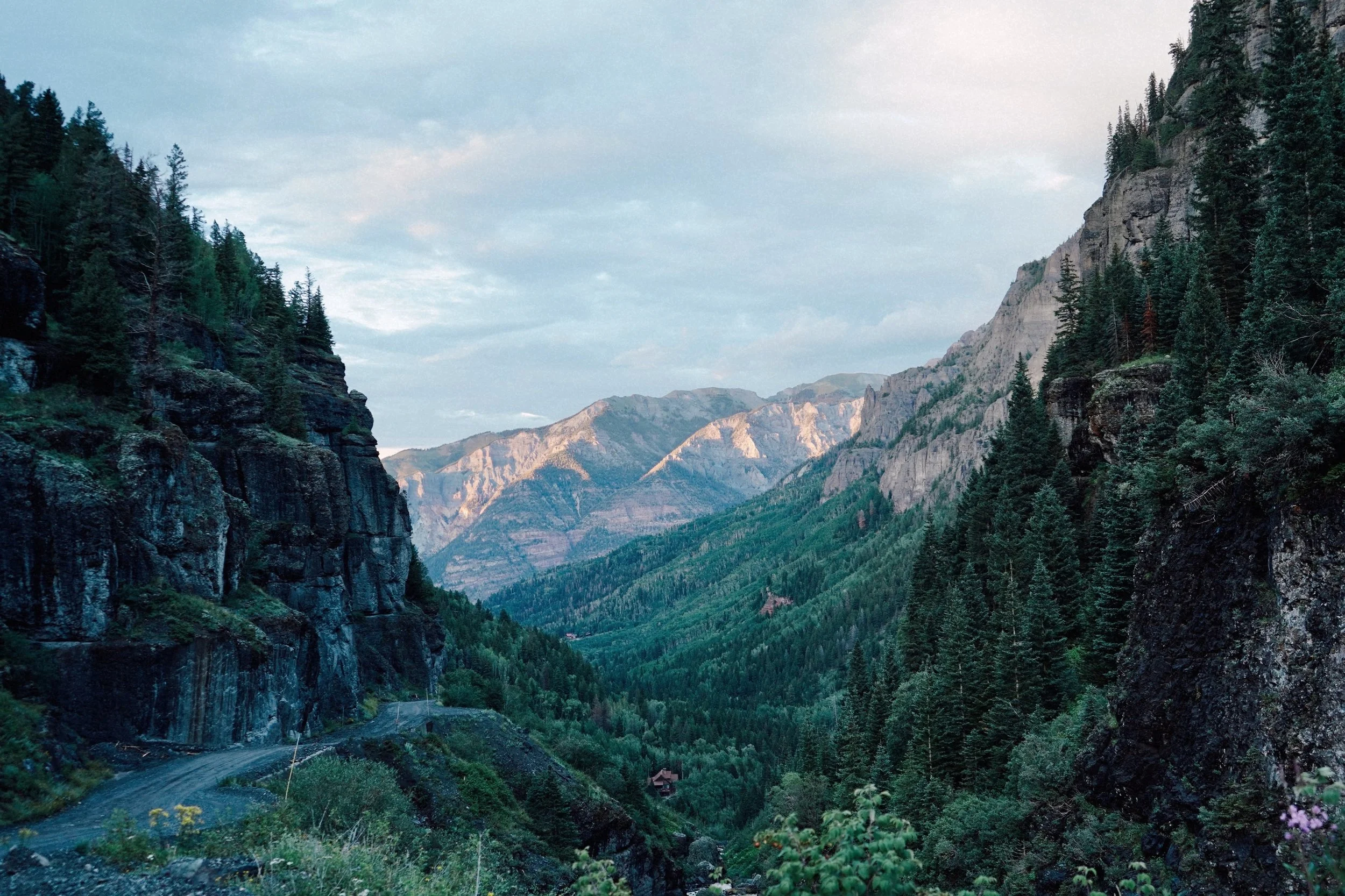 Vistas & Ventures