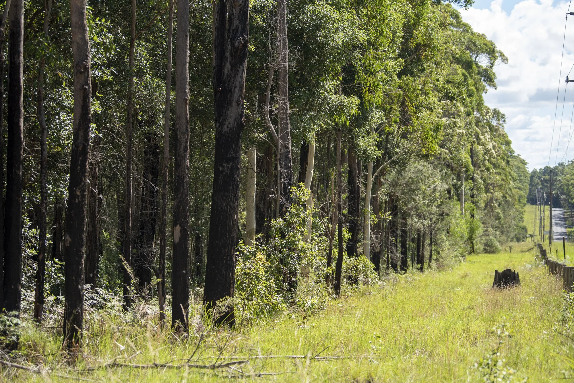 WEB 2 Parnell Rd Tomerong-42.jpg