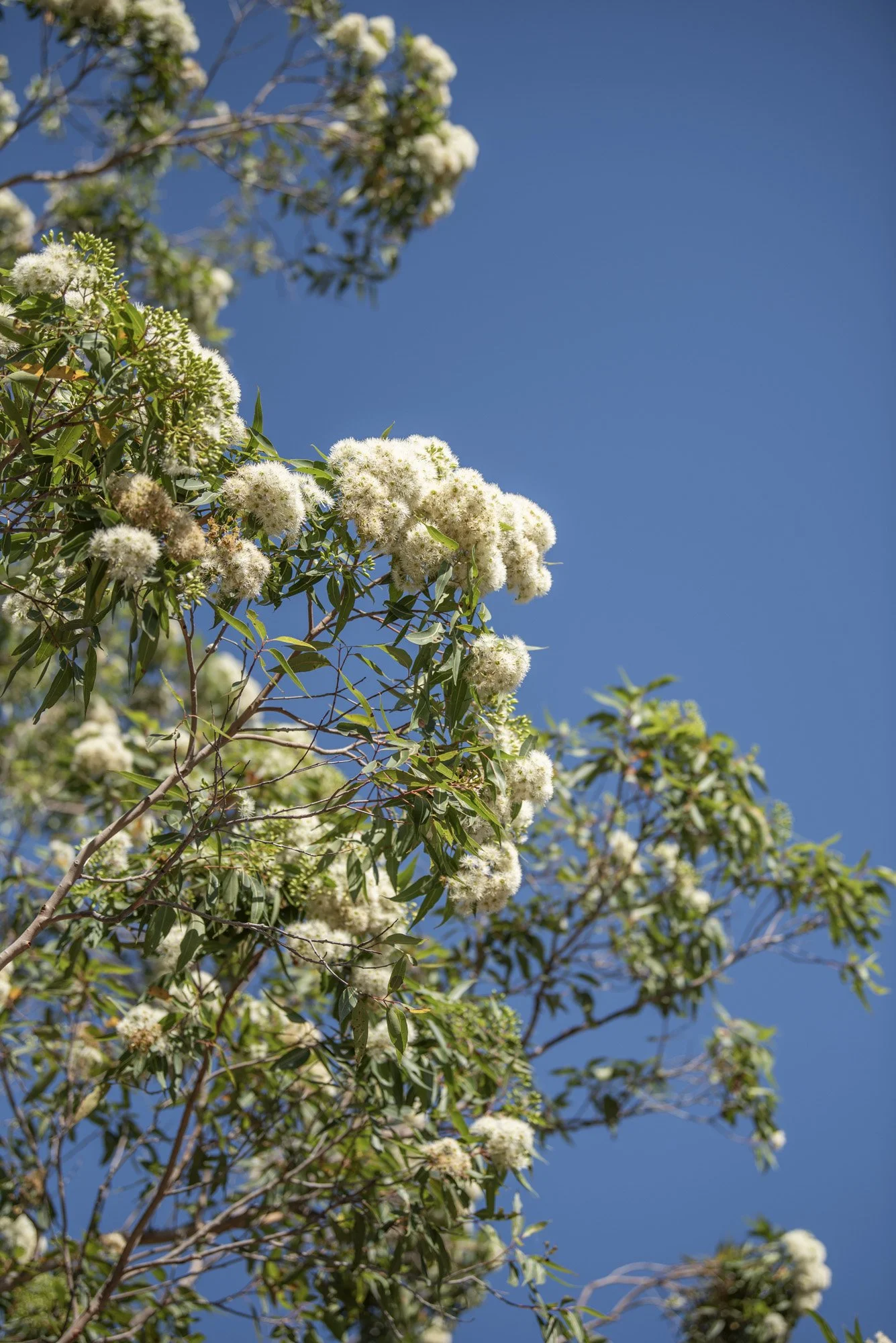 WEB 2 Parnell Rd Tomerong-19.jpg