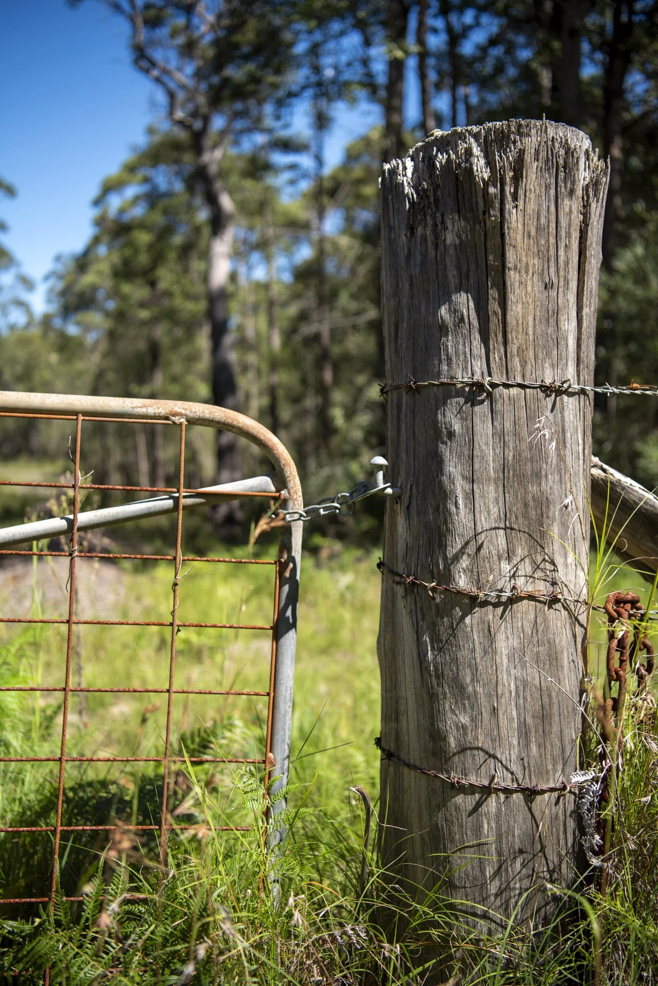 WEB 2 Parnell Rd Tomerong-15.jpg