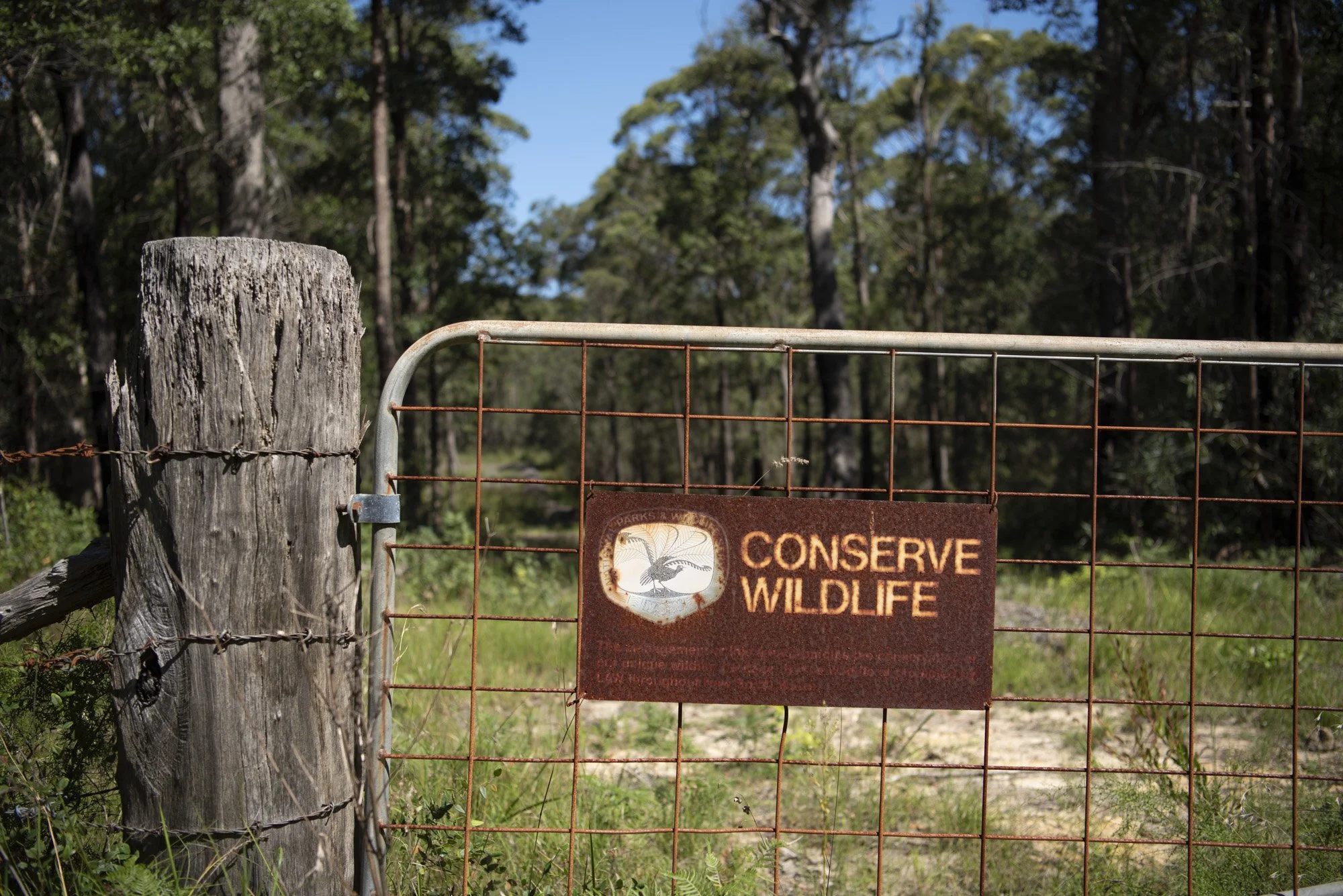 WEB 2 Parnell Rd Tomerong-13.jpg