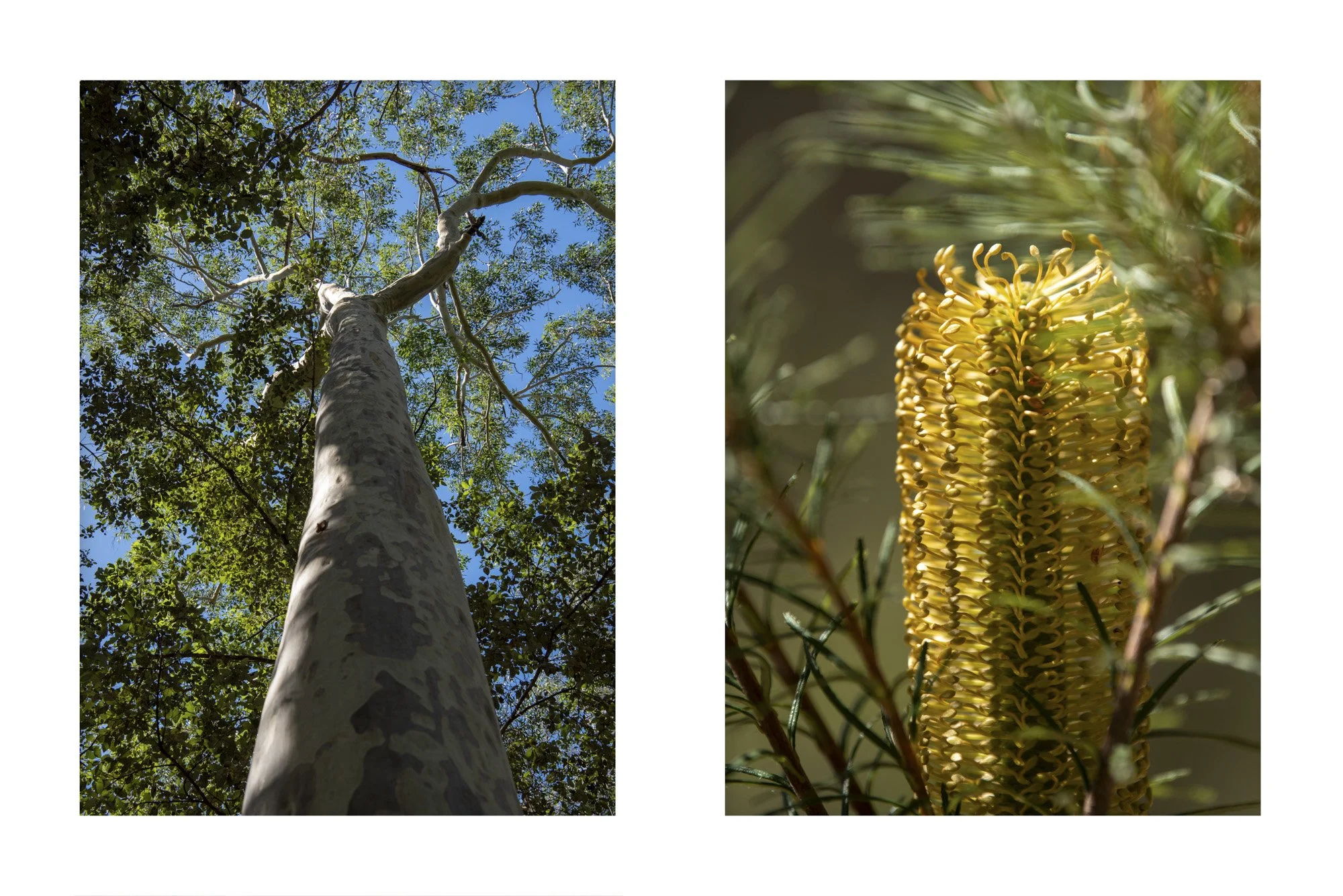 WEB 2 Parnell Rd Tomerong-33.jpg