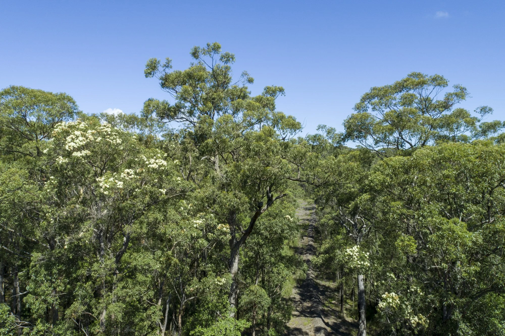 WEB 2 Parnell Rd Tomerong-4.jpg