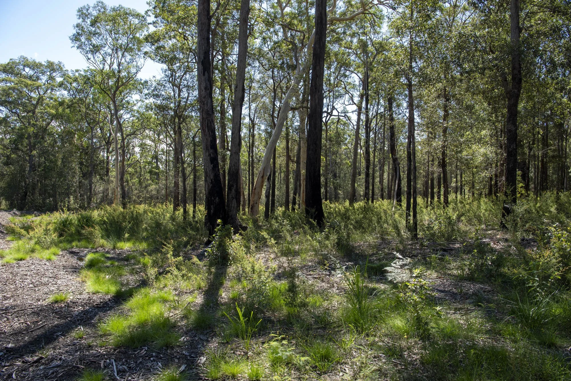 WEB 2 Parnell Rd Tomerong-30.jpg